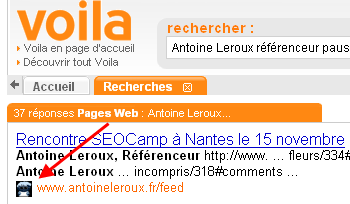 favicon dans SERPs de Voila