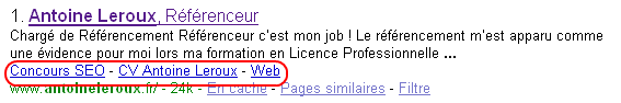 nouveau Mini Sitelinks du blog Antoine Leroux Référenceur