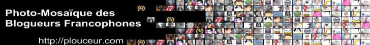 Photo-mosaïque des blogueurs francophones