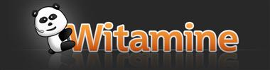 Witamine l'émission des webmasters